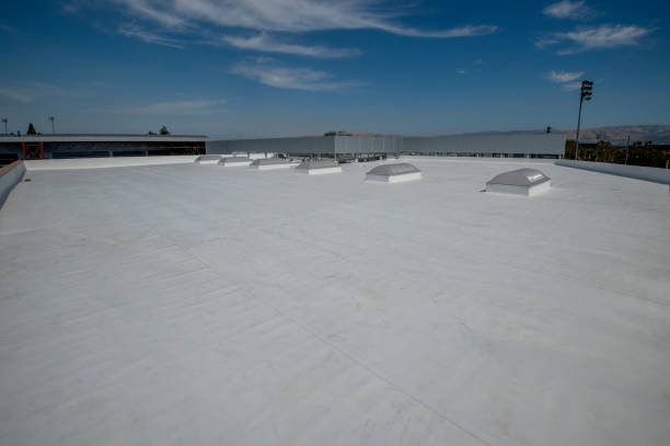 Best Asphalt Shingles Roofing  in Hollandale, MS