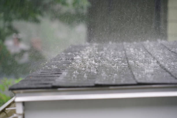Best Chimney Flashing Repair  in Hollandale, MS