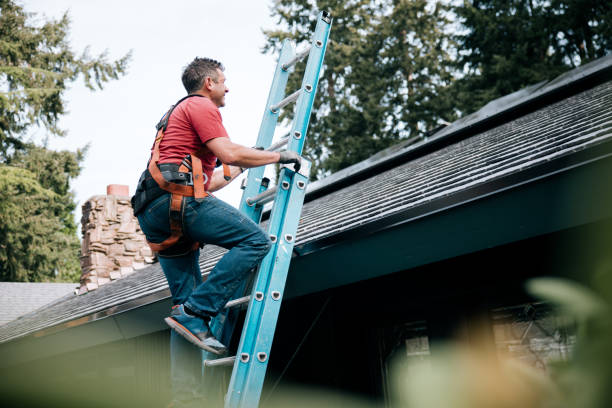 Best Roof Coating and Sealing  in Hollandale, MS